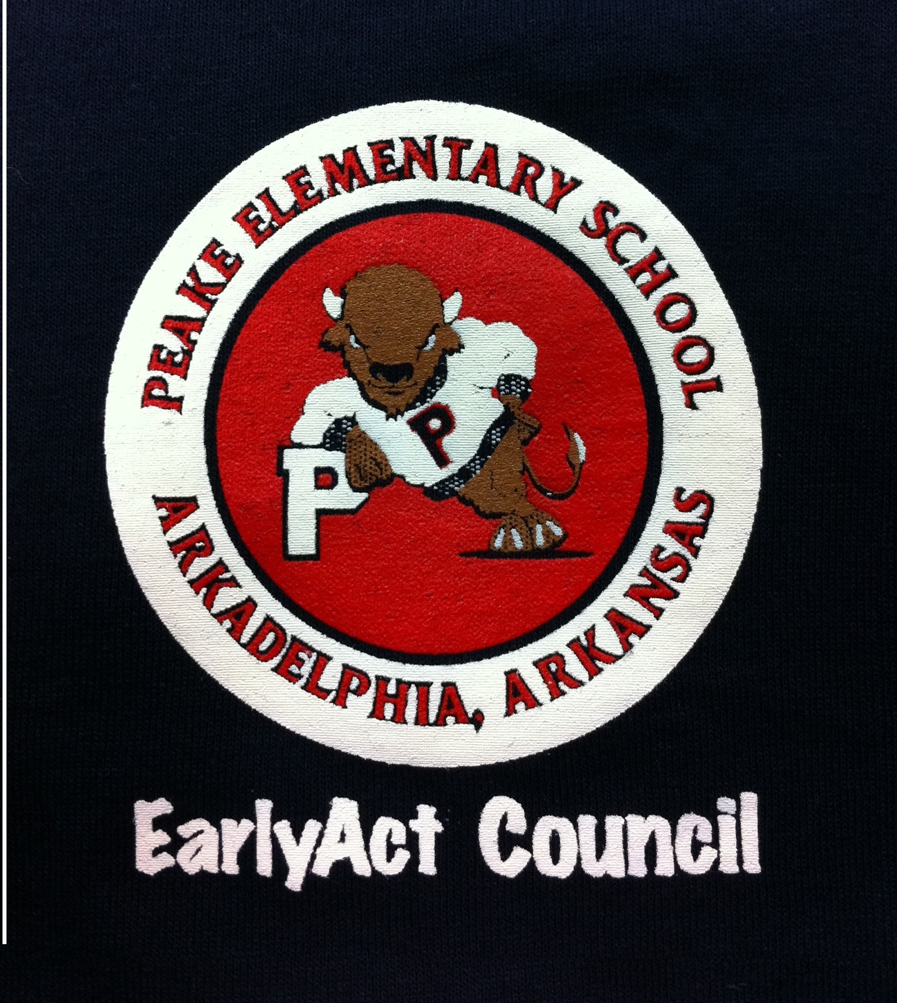 Peake Elementary's Early Act Student Council Elections